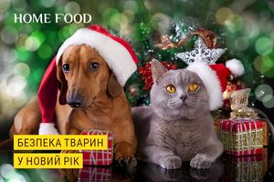 Безпека домашніх тварин під час новорічних свят