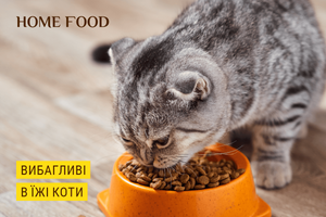 Чому коти вибагливі в їжі?