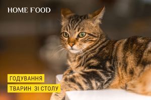 Чому не можна годувати собак і котів їжею зі столу?