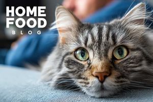 Diagnosis and treatment of demodicosis in cats
