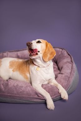 Овальний лежак Donut Soft Touch Pink