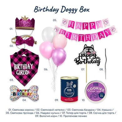 Birthday Doggy Box (Good Girl Edition)