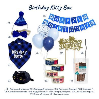 Birthday Kitty Box (Fluffy Boy Edition)