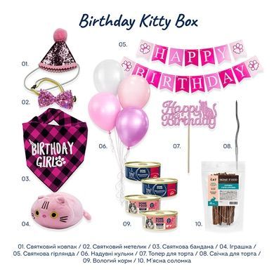 Birthday Kitty Box (Fluffy Girl Edition)