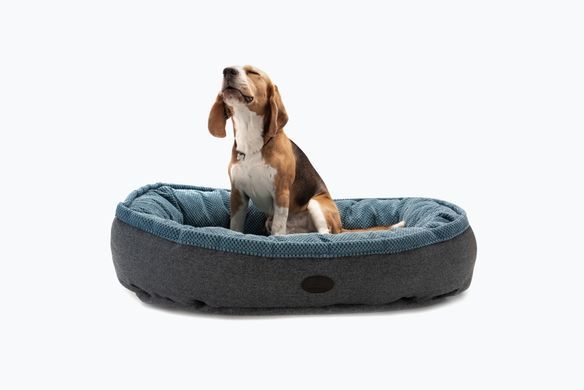 Donut Soft Touch Ocean Oval Bed