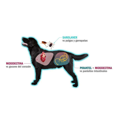 Таблетки від глистів, бліх і кліщів для собак Сімпаріка ТРІО 5 - 10 кг