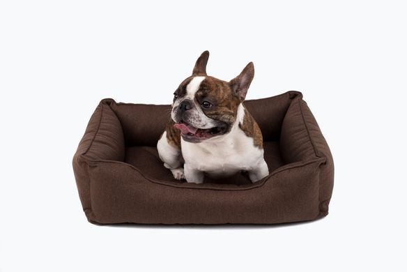 Dreamer Brown Bed