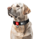 WAUDOG Waterproof dog collar with QR passport, plastic fastener, black, size XXL