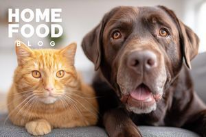 How to get a worm test for a cat and dog