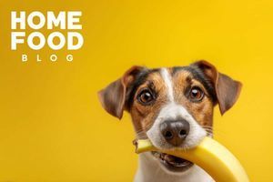 Can I give my dog bananas?