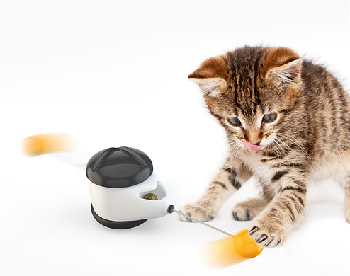 Іграшка для котів Balance Car