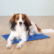 Trixie mat for animals cooling nylon, 40x30 cm