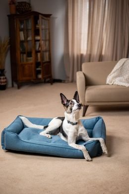 Dreamer Denim Bed