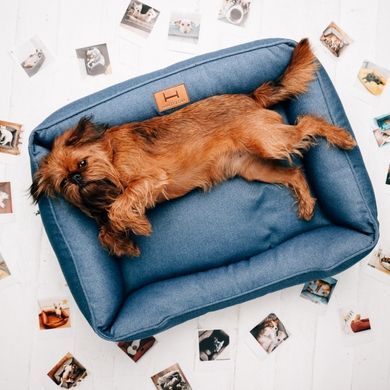 Dreamer Denim Bed