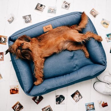 Dreamer Denim Bed