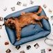 Dreamer Denim Bed
