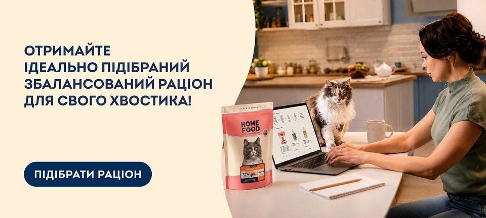 ПК — головна — опитувальник