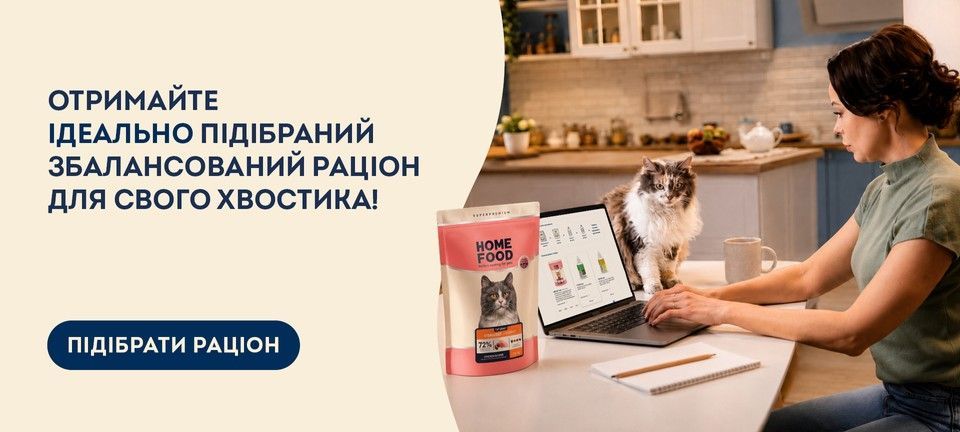 ПК — головна — опитувальник