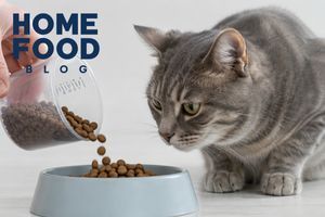 How to calculate the daily allowance of dry cat food