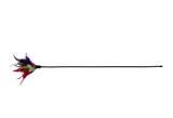 Trixie &ndash; feather wand toy for cats, 50 cm, natural materials