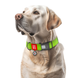 WAUDOG Waterproof dog collar with QR passport, plastic fastener, green, size XXL