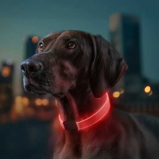 Collar WAUDOG LED - Регулируемый ошейник для собак с подсветкой