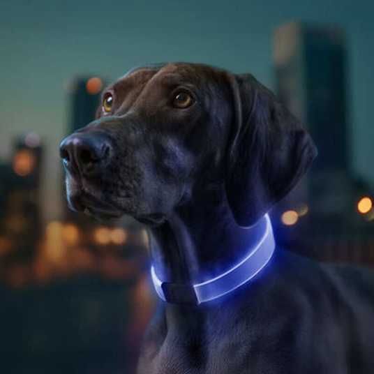 Collar WAUDOG LED - Регулируемый ошейник для собак с подсветкой