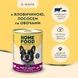 Complete wet food HOME FOOD for adult dogs with beef and salmon with vegetables in jelly, 8 х 360 g
