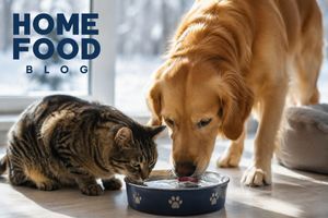 The importance of water for cats and dogs in winter