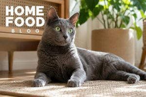Korat
