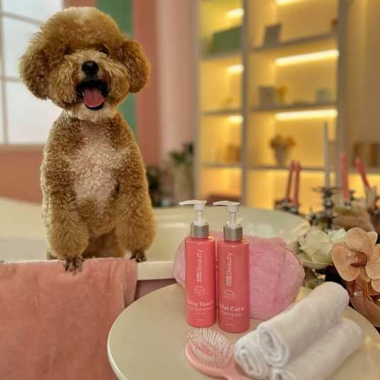 THEＨ.Ｗ.DOG &ＣＯ Кондиционер «Шелковое касание» для собак и кошек Silky Touch HOME