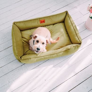 Dreamer Olive Bed