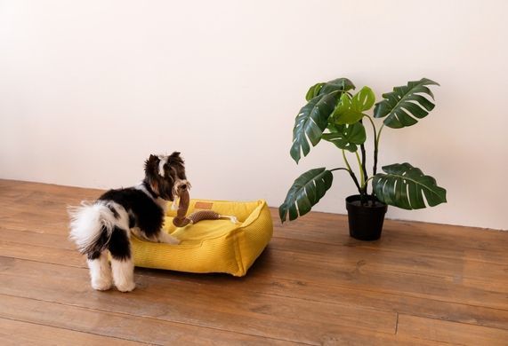 Dreamer Yellow Velvet Bed