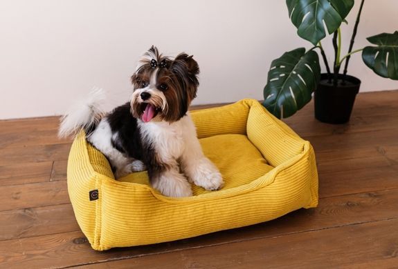 Dreamer Yellow Velvet Bed