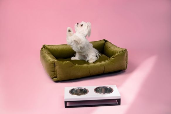 Dreamer Olive Bed