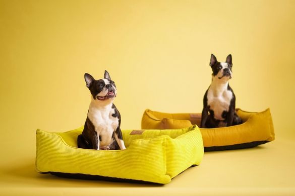 Dreamer Yellow Velvet Bed