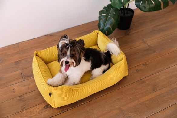 Dreamer Yellow Velvet Bed