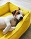 Dreamer Yellow Velvet Bed