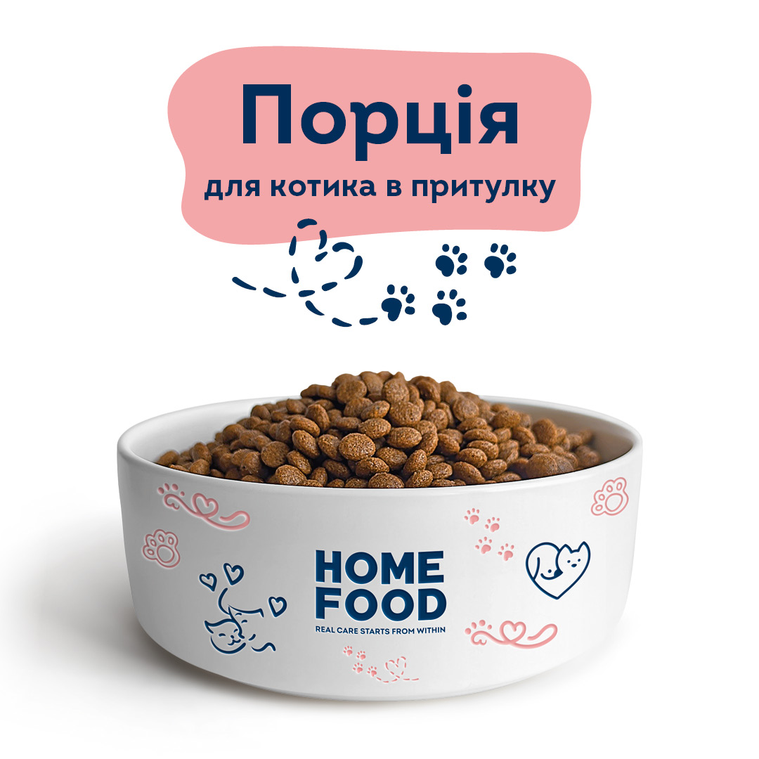 Порція корму для котика в притулку
