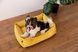 Dreamer Yellow Velvet Bed