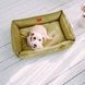 Dreamer Olive Bed