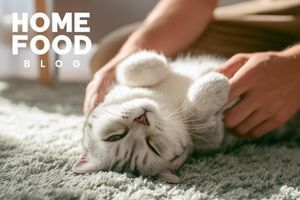 How to give a pill to a cat without unnecessary stress