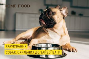 Особливості харчування порід собак, схильних до набору ваги