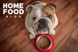 Features of feeding dog breeds prone to weight gain