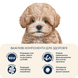 Комплект сухих кормов для щенков мелких пород Ягненок и рис For puppies 1-12 months (700 г х 2)