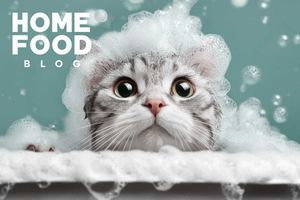 How often can you bathe your cat: frequency and rules for bathing