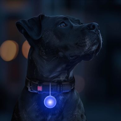 WAUDOG LED &mdash; RGB-фонарик для собак и кошек