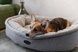 Donut Fur Gray NEW Oval Bed