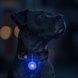 WAUDOG LED &mdash; RGB-фонарик для собак и кошек