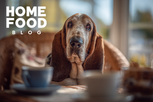The Calmest Dog Breeds in the World